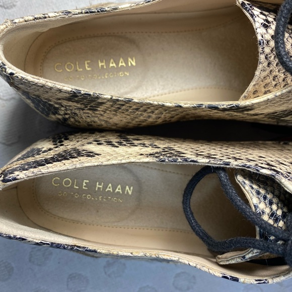 COLE HAAN Modern Classic Oxford - Python Printed Leather - Picture 11 of 16